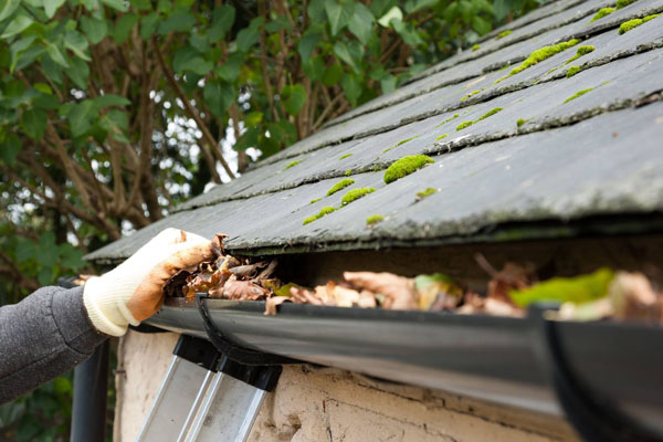 Gutter Cleaning carlow, dublin, kildare, kilkenny, laois, longford, louth, meath, offaly, westmeath, wexford, wicklow